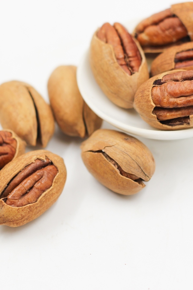 Большой орех пекан на белом фоне