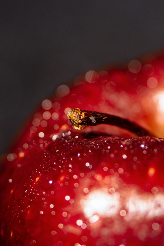 Большое мокрое красное яблоко на сером фоне