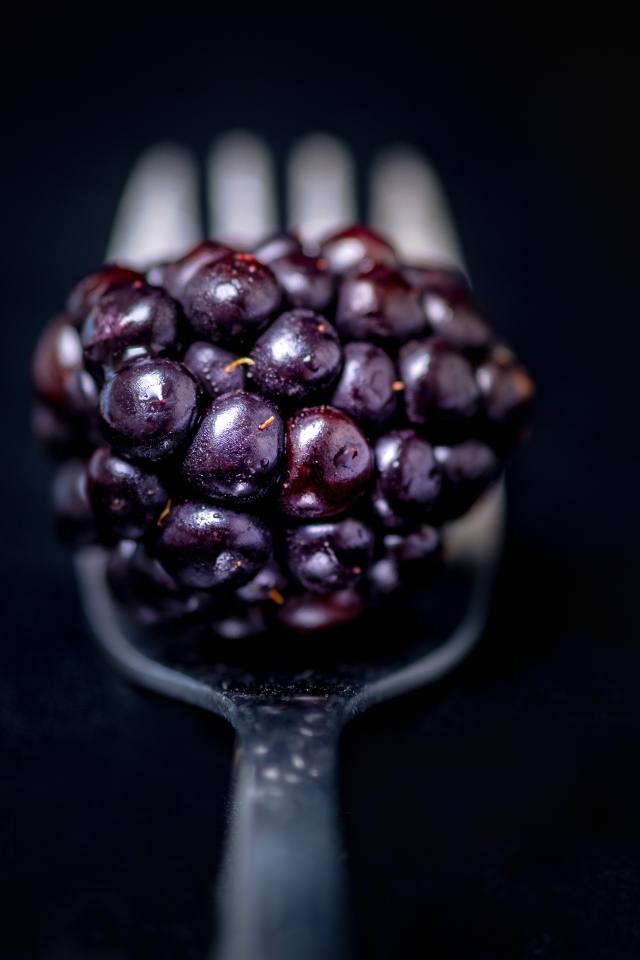Ягода ежевики на вилке на черном фоне