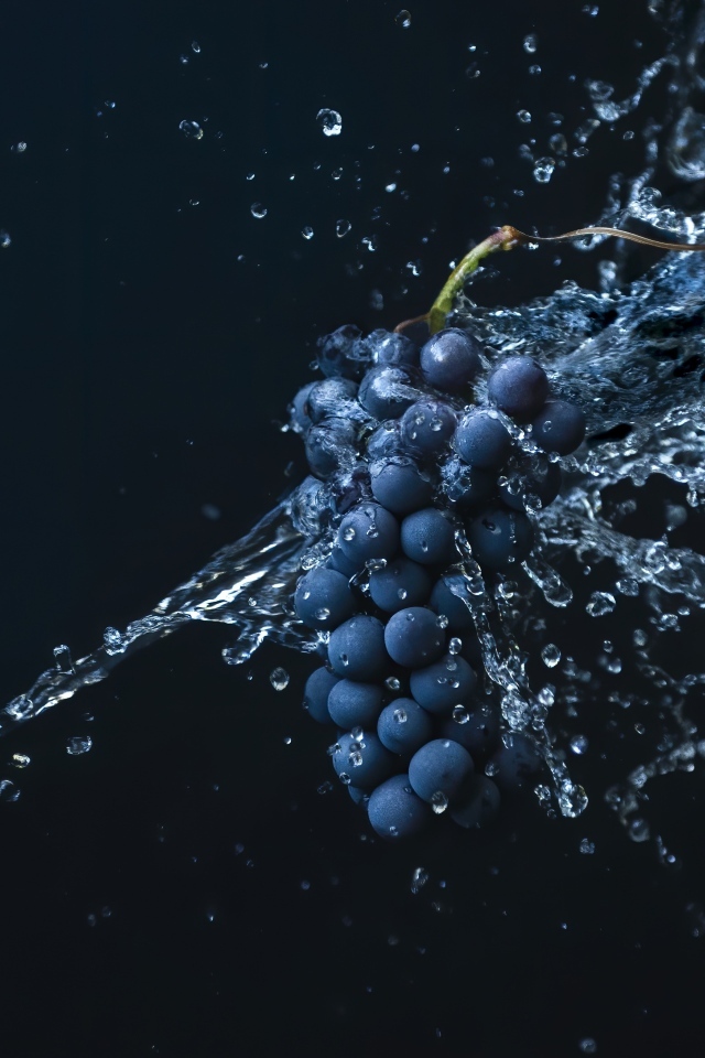 Гроздь синего винограда в воде на черном фоне