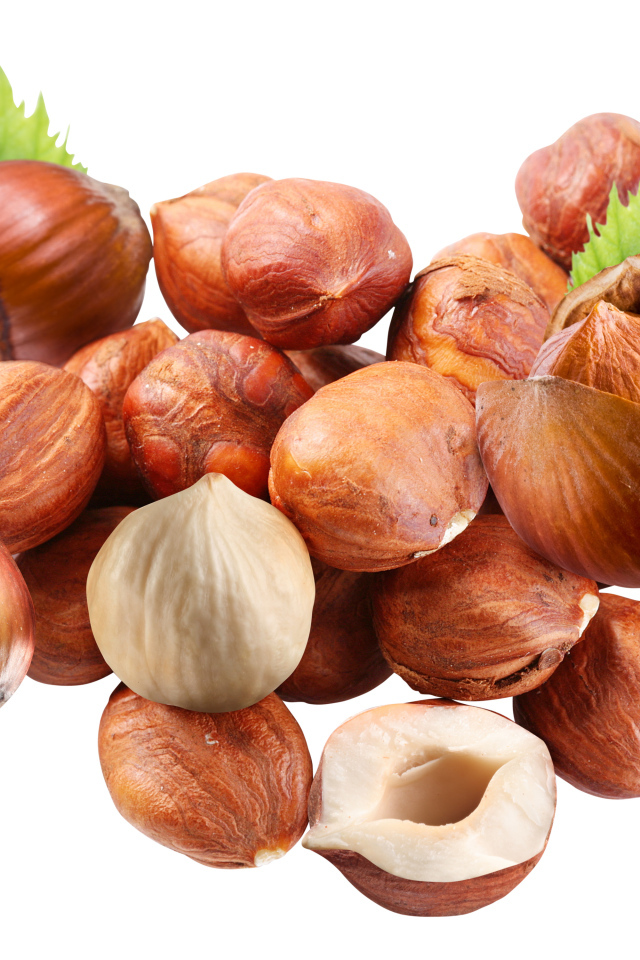 Вкусные лесные орехи на белом фоне