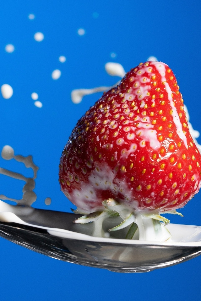 Молоко в ложке с клубникой на синем фоне