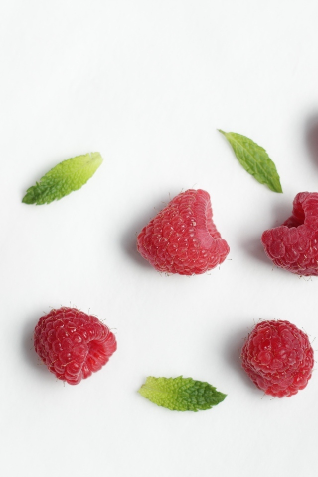 Красная малина с зелеными листьями на белом фоне