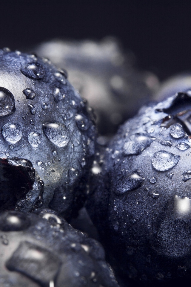 Круглые ягоды черники в каплях воды