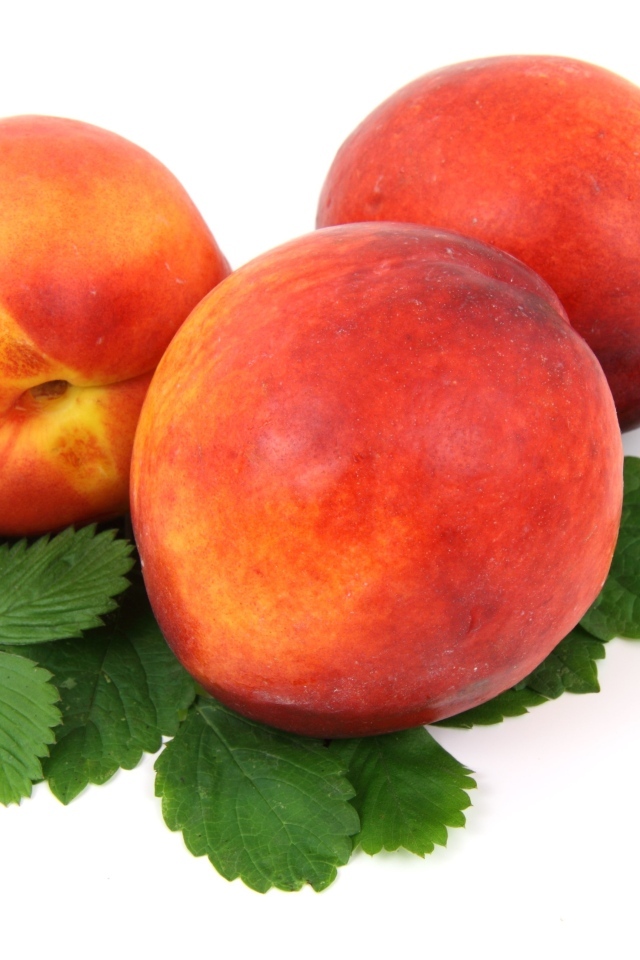 Три спелых персика с листьями на белом фоне