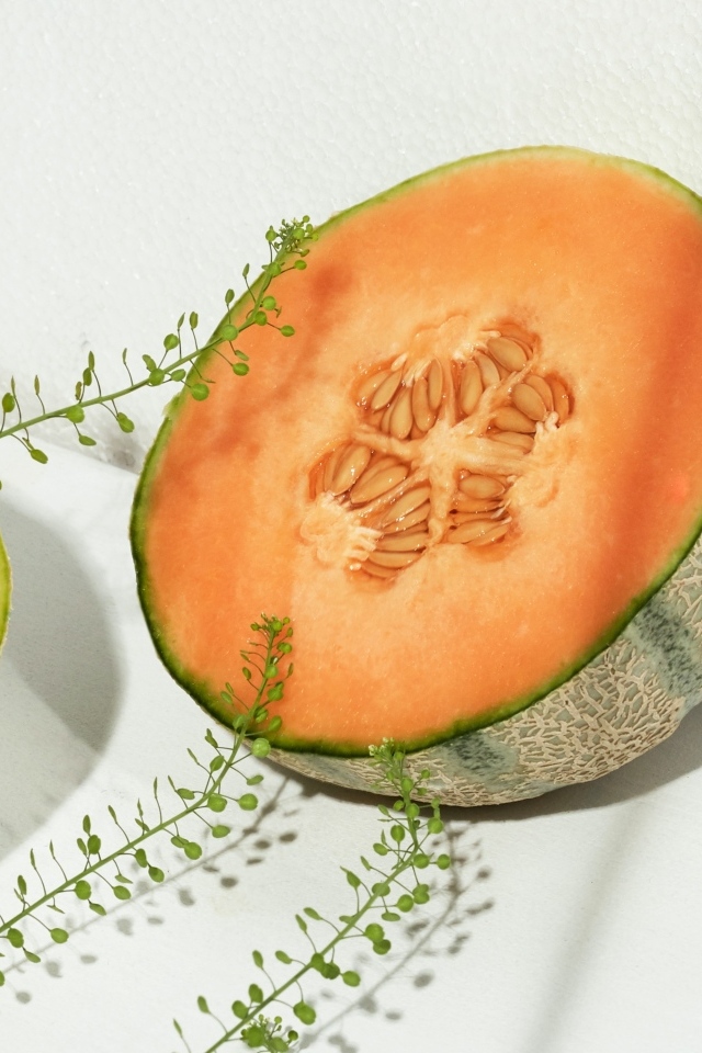 Две половины дыни с травой на белом диване