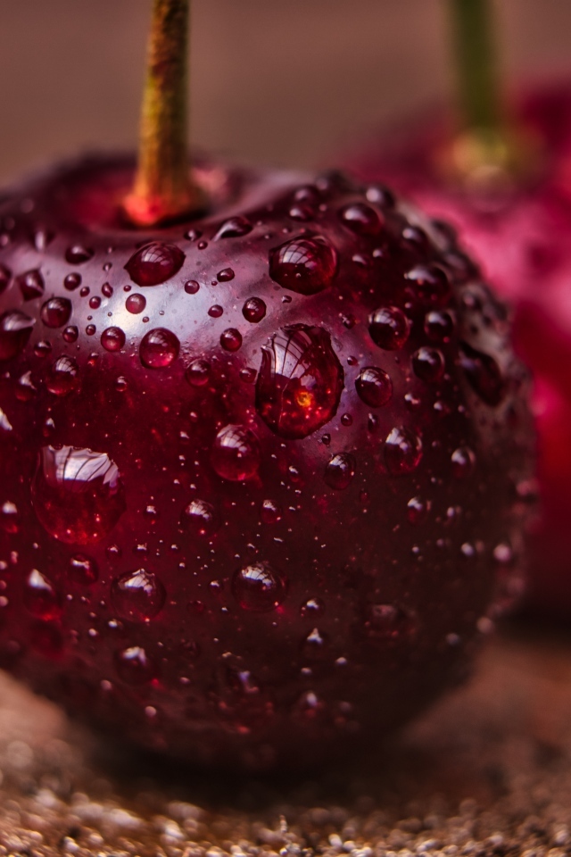 Две красные ягоды черешни в каплях воды