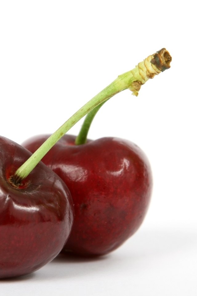 Две красные ягоды черешни на белом фоне