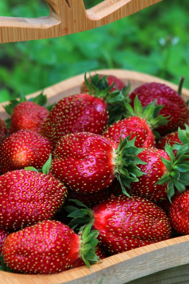 Деревянная корзина вкусной сладкой спелой клубники