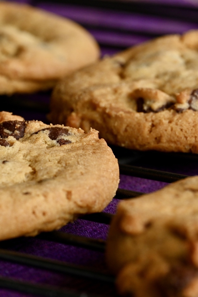 Аппетитное круглое печенье с шоколадной крошкой