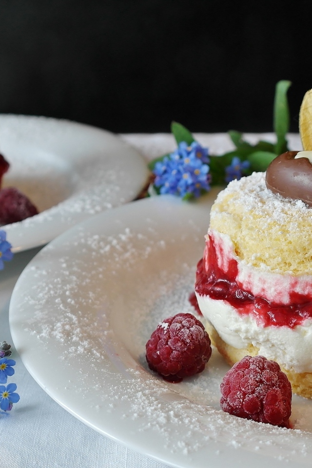 Пирожное Буше с ягодами малины на тарелке