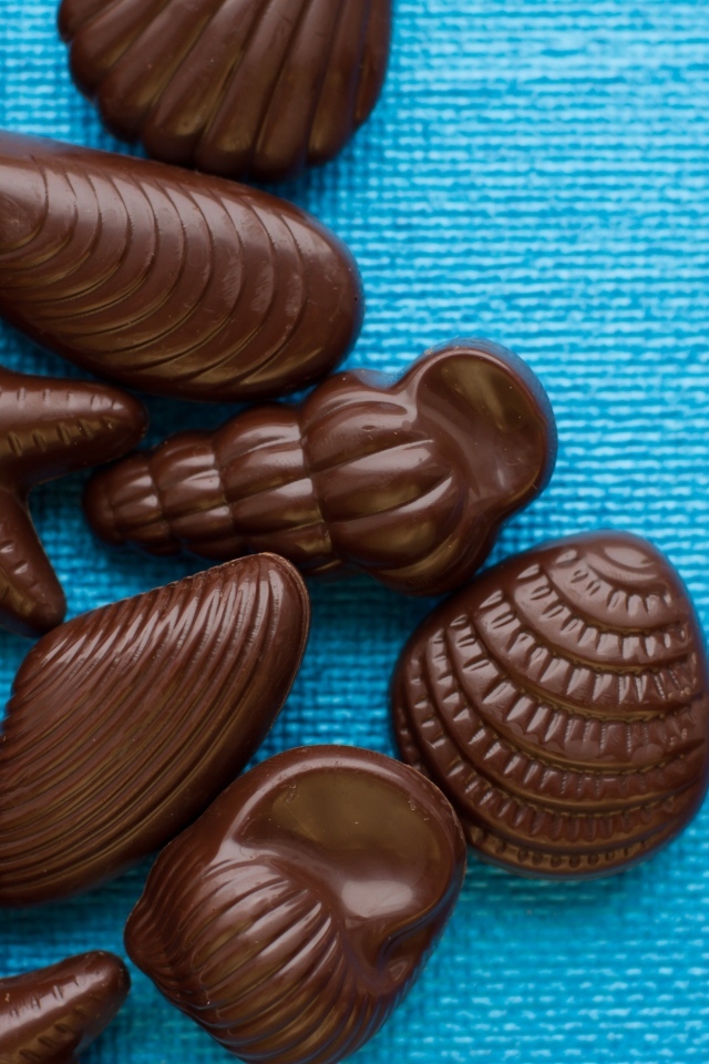 Шоколадные конфеты в форме ракушек на голубом фоне