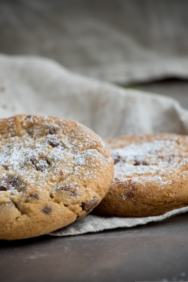 Печенье с шоколадной крошкой посыпано сахарной пудрой