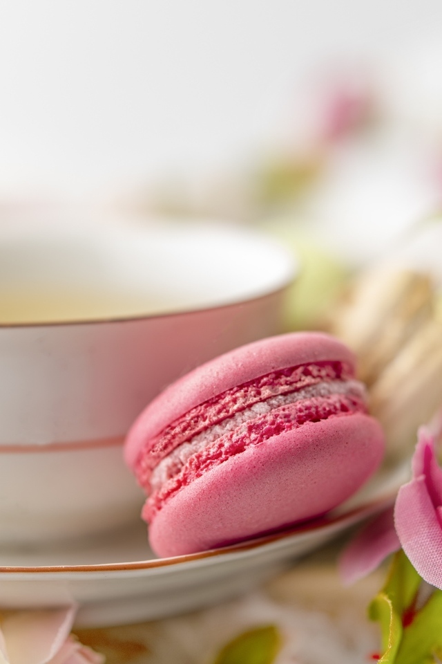 Чашка чая с десертом макарун и цветами розы