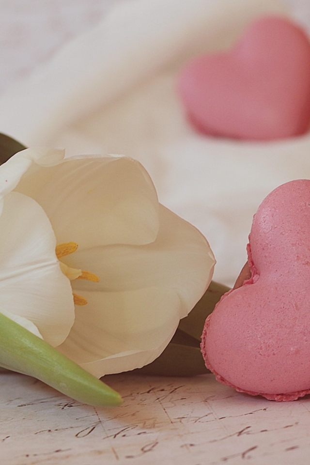 Десерт макарун в форме сердца на столе с тюльпаном