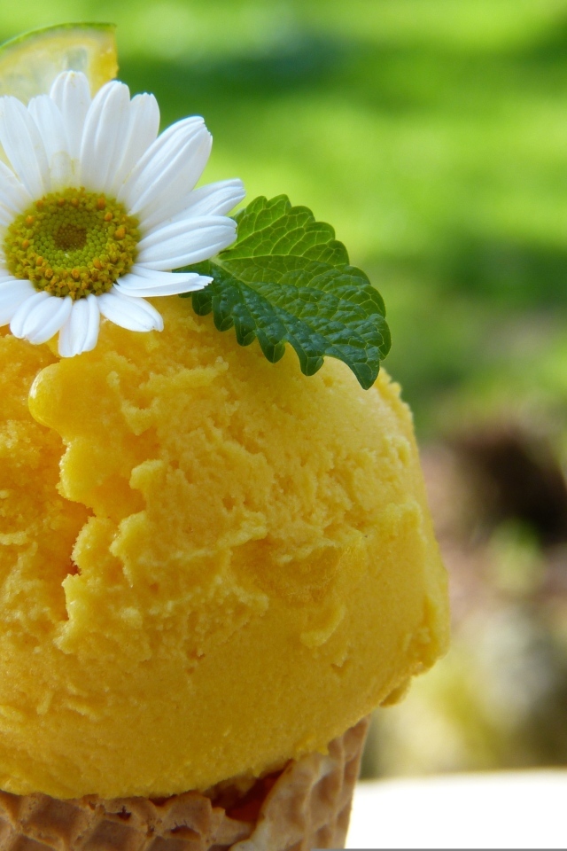 Желтое фруктовое мороженое с цветком ромашки