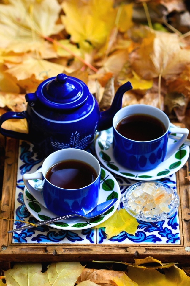 Две чашки кофе с чайником стоят на опавшей листве