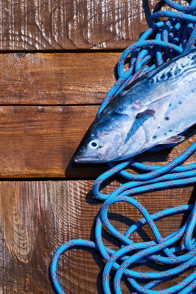 Свежая рыба с веревкой на деревянном столе