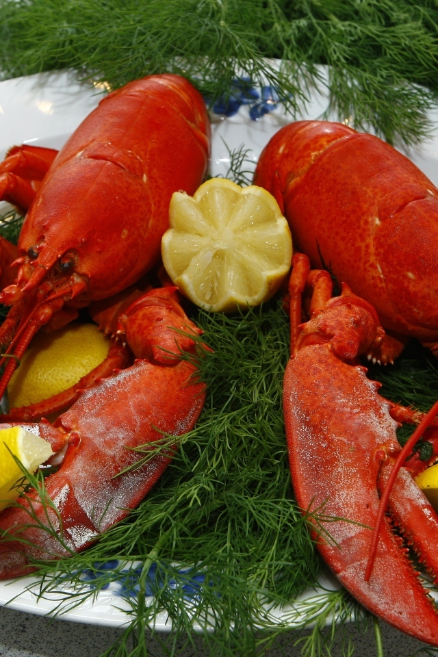 Большой вареный рак на тарелке с укропом