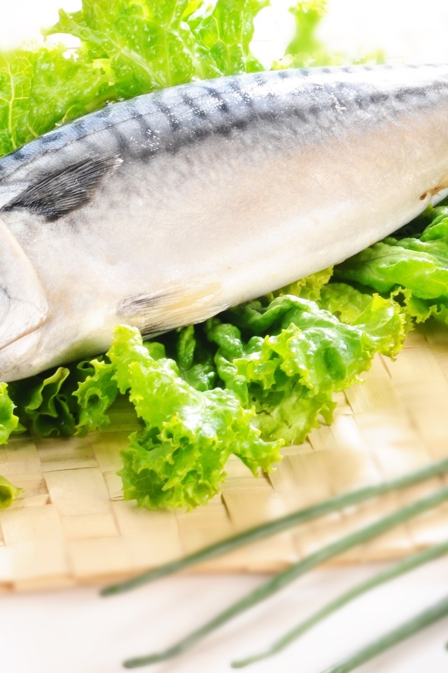 Крупная скумбрия с листьями салата