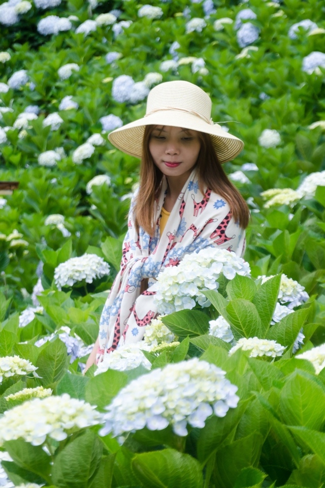 Девушка азиатка сидит в цветах гортензии