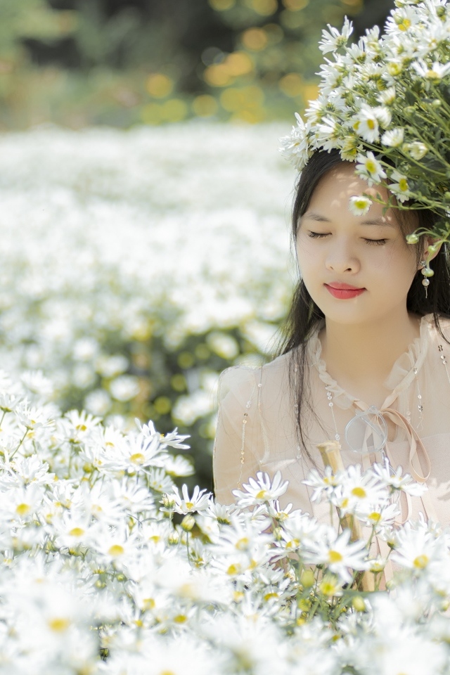 Красивая девушка азиатка на поле с белыми цветами хризантемы