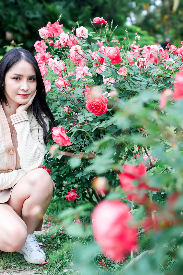 Красивая девушка сидит у куста роз