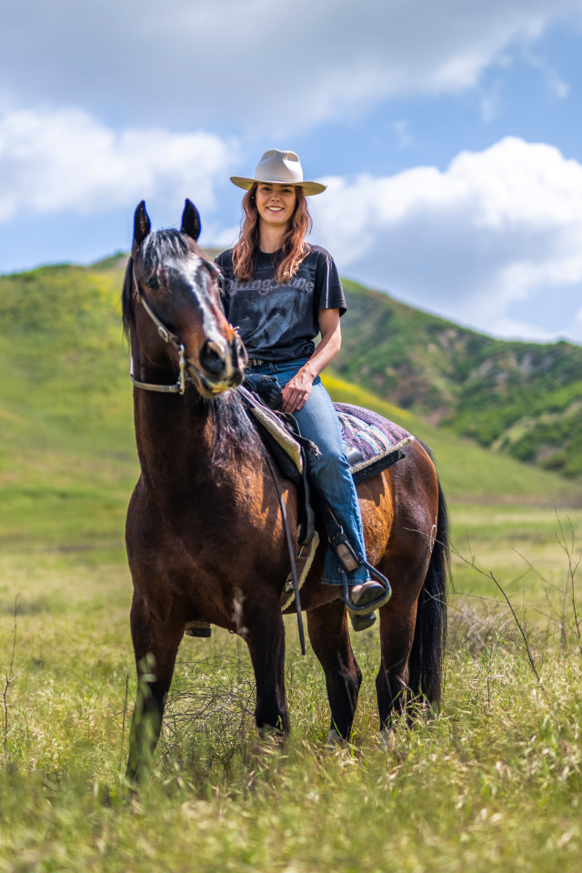 Красивая девушка сидит на большой лошади