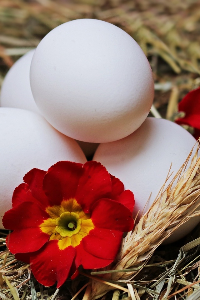 Белые яйца с цветами в гнезде на праздник Пасха
