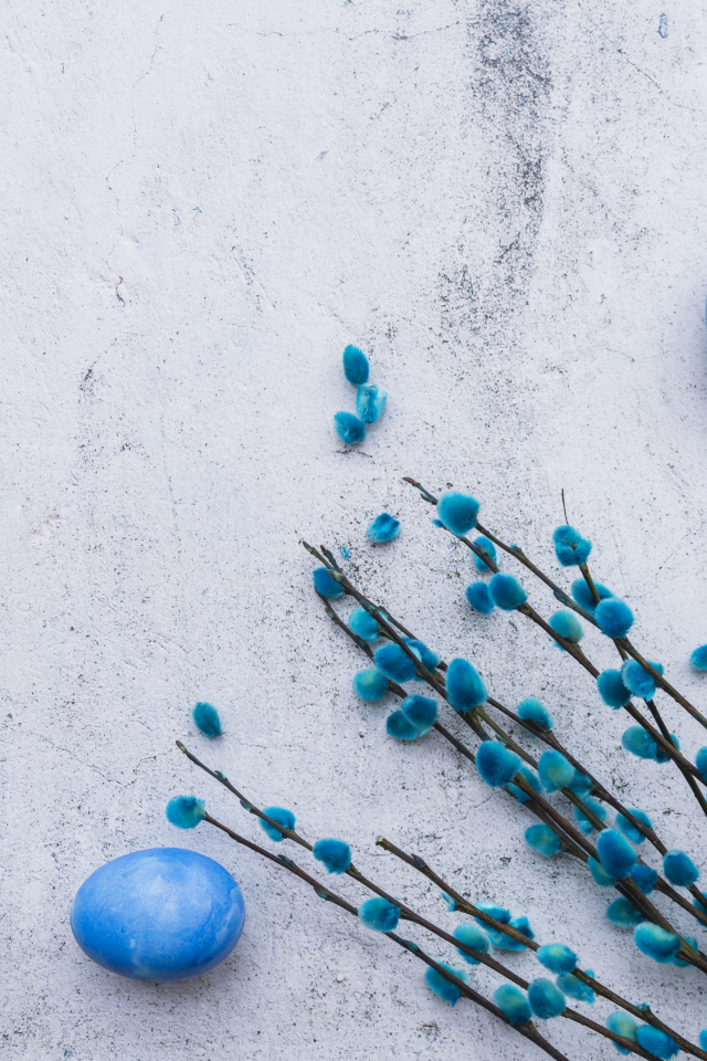 Ветка вербы с голубыми и белыми яйцами на сером фоне на праздник Пасха