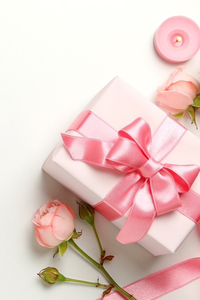 Розовые розы с подарком на белом фоне,  шаблон для открытки на 8 марта