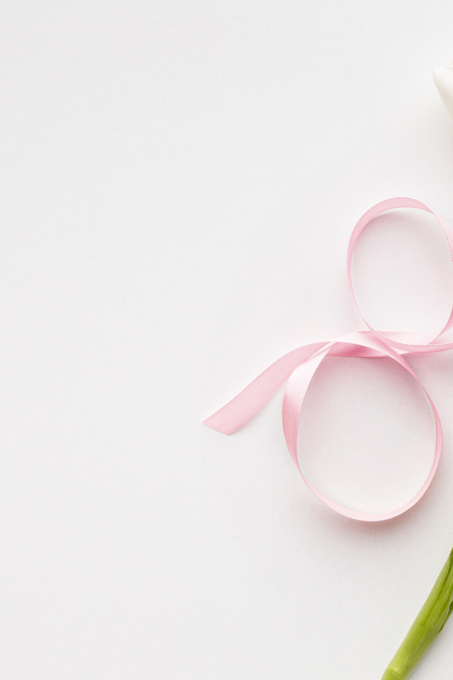 Тюльпан для любимой на 8 марта на розовом фоне