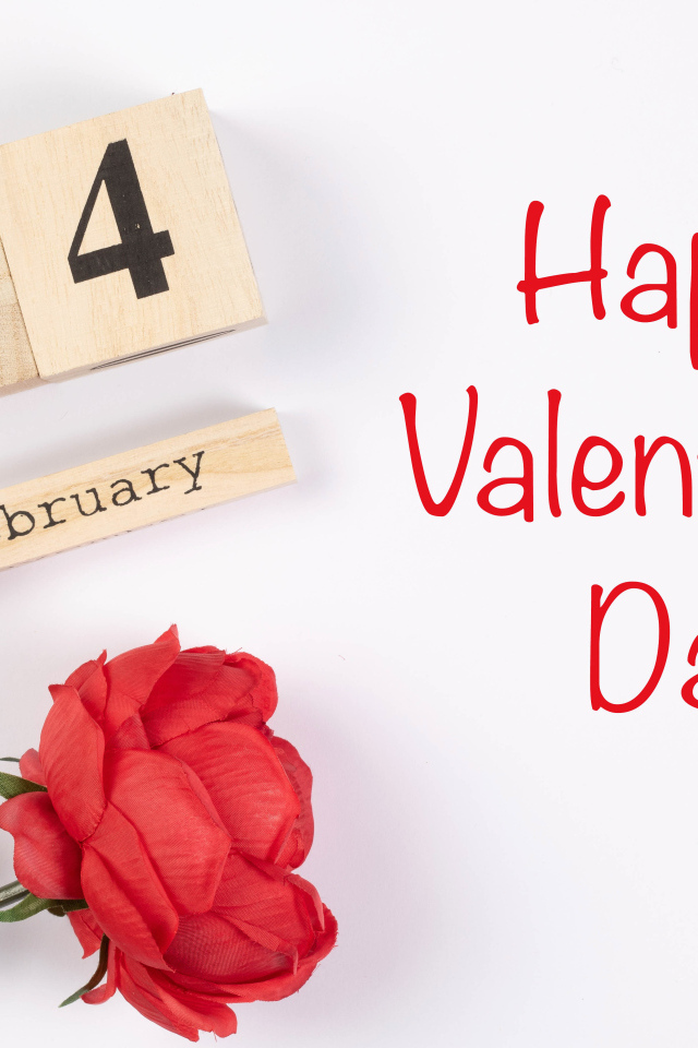 Красивая открытка с розой на белом фоне на День влюбленных