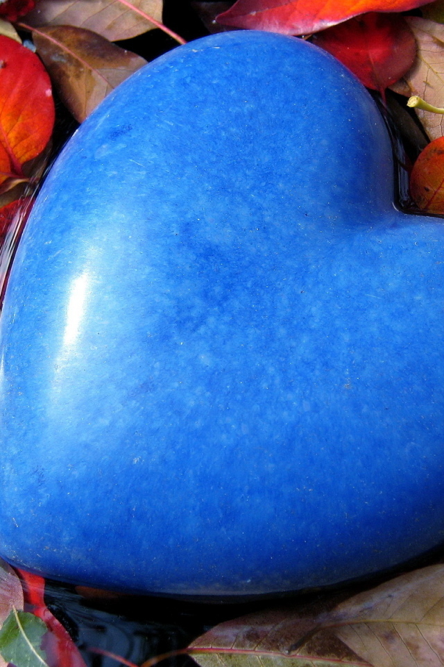 Большое голубое сердце лежит на листве