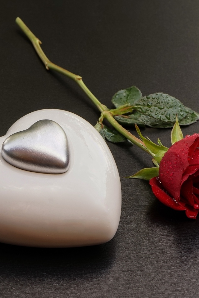 Большое белое сердце с красной розой