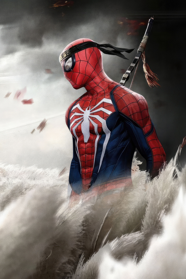 Ниндзя Человек паук на поле