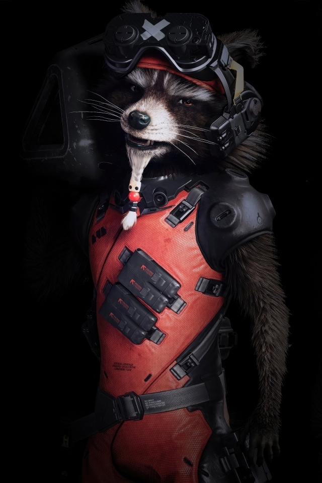 Енот в костюме на черном фоне