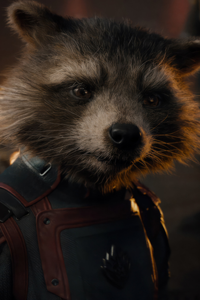 Енот Ракета персонаж фильма Стражи Галактики: Часть 3