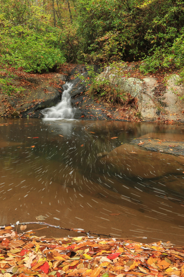 Красивый холодный осенний лес с водопадом