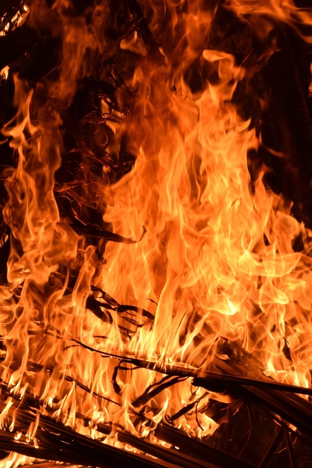 Яркий горячий огонь костра вблизи