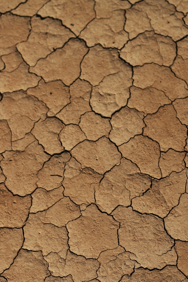 Трещины на сухой земле 
