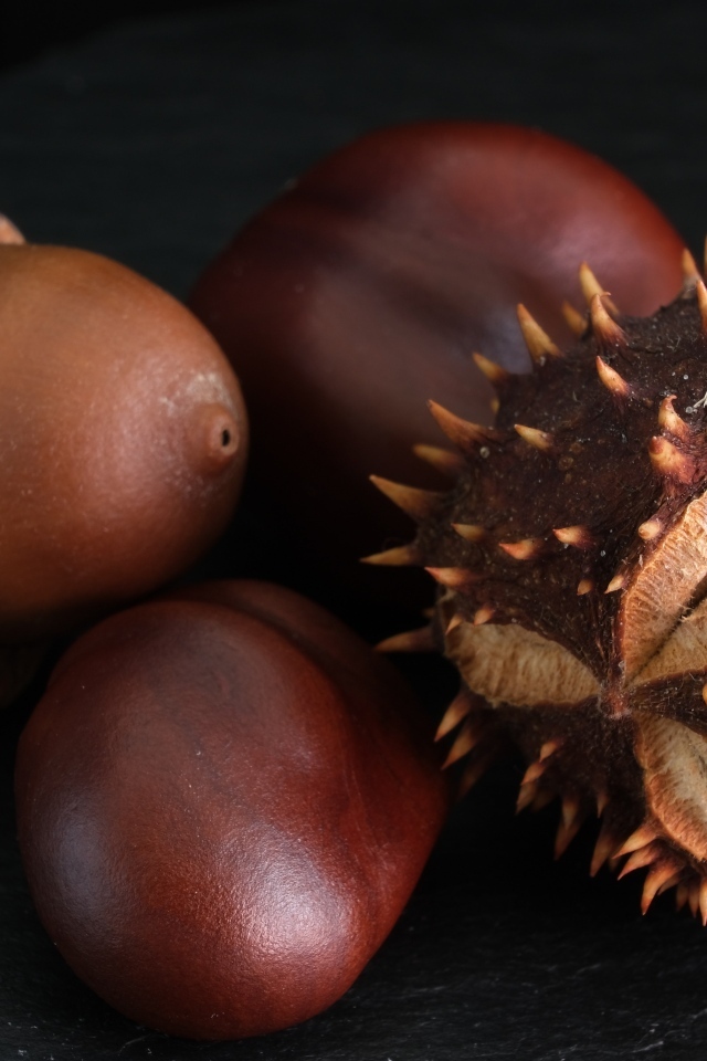 Сухие каштаны и желуди на черном фоне