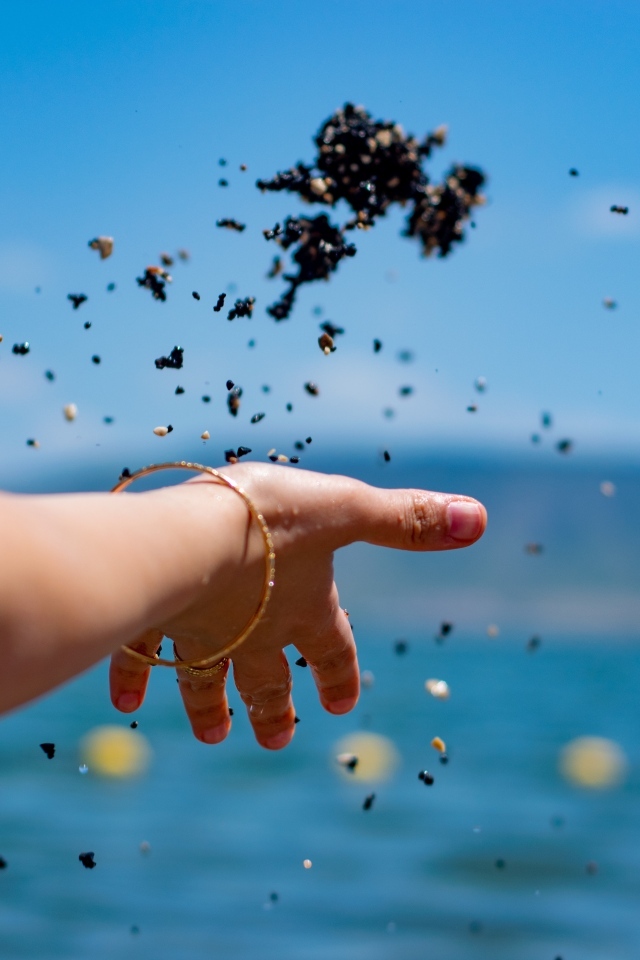 Девушка бросает корм в воду