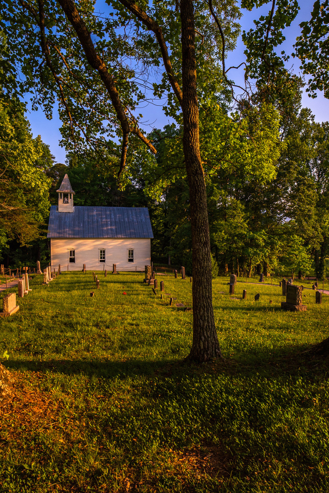 Дом в парке с зеленой травой летом