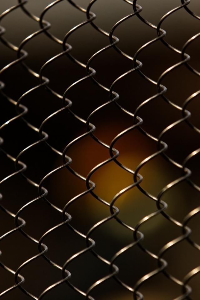 Железная сетка крупным планом