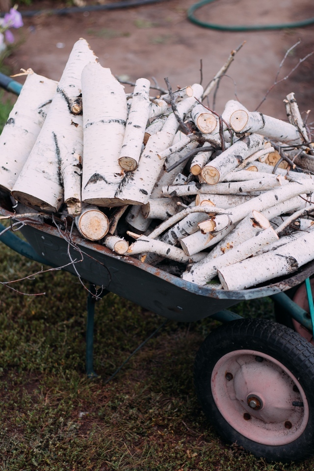 Железная тачка с дровами с березы