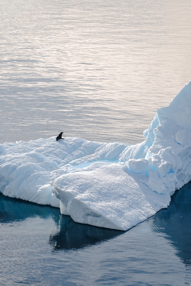 Большой холодный айсберг водах Антарктики