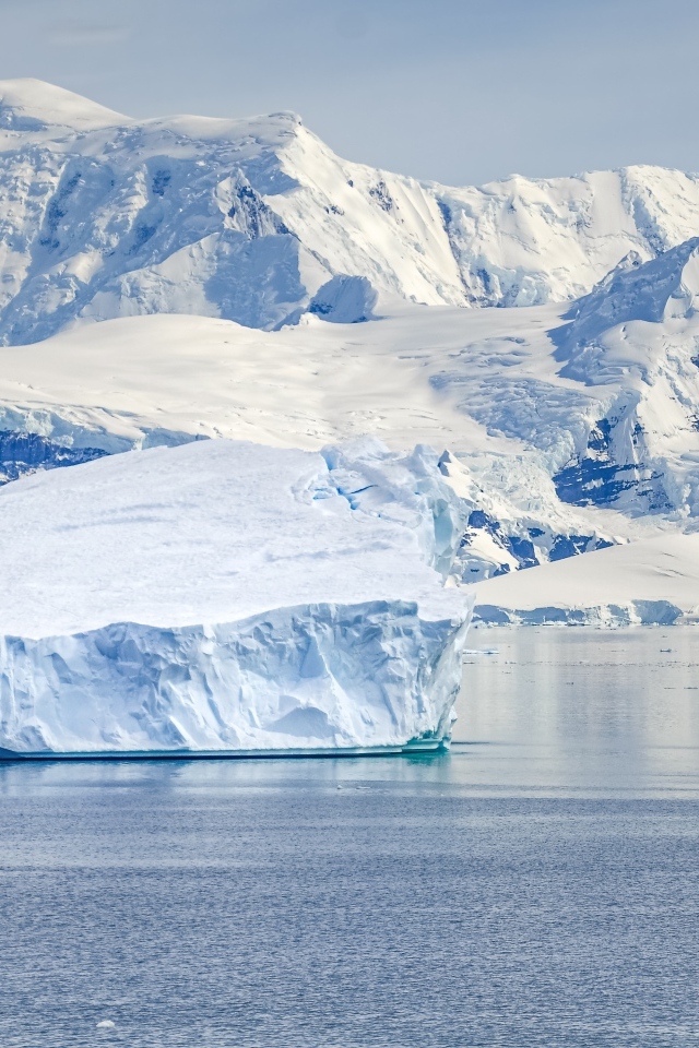 Большой айсберг у берега с заснеженными горами