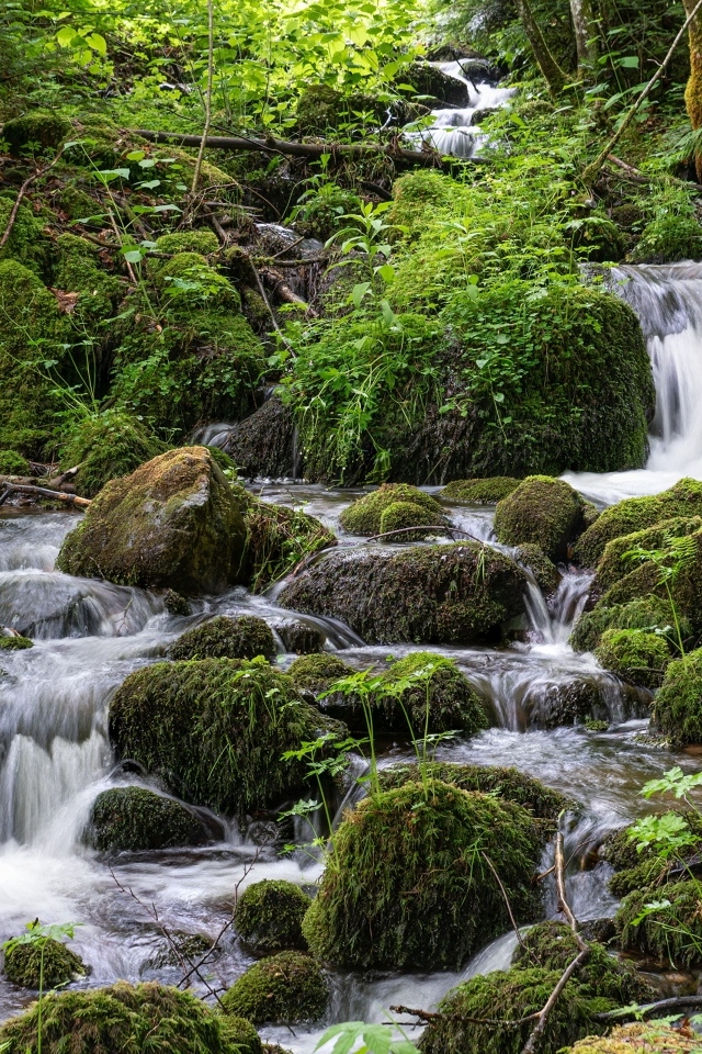Большие покрытые мхом камни в лесном ручье