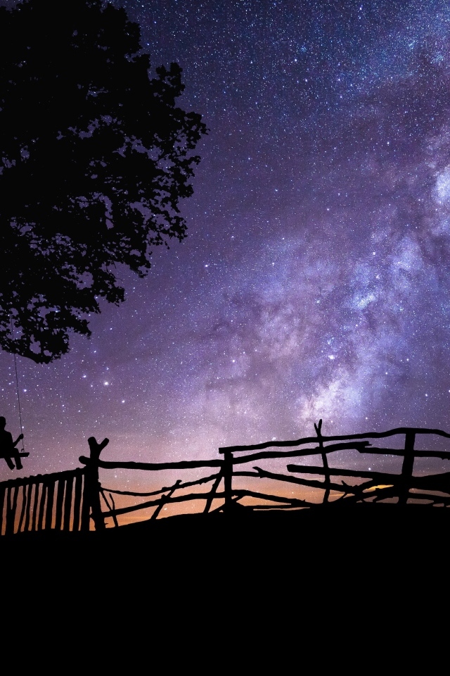 Млечный путь в небе над деревом